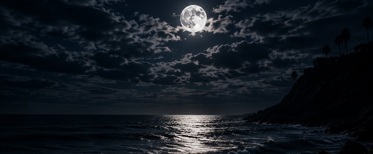 A dramatic night seascape with a bright full moon shining over dark ocean water, with a silhouetted rocky coastline and palm trees on the right under cloudy skies.